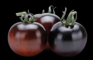 Black Cherry